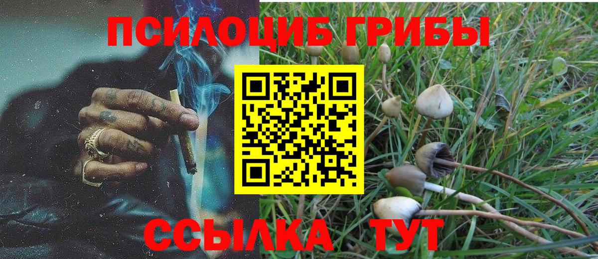Галлюциногенные грибы Cubensis Брянск