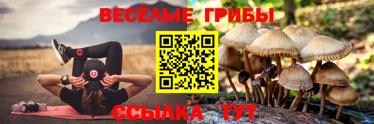 Галлюциногенные грибы мухоморы  Вход с VPN  где можно купить   Брянск 